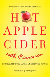 Hot Apple Cider with Cinnamon