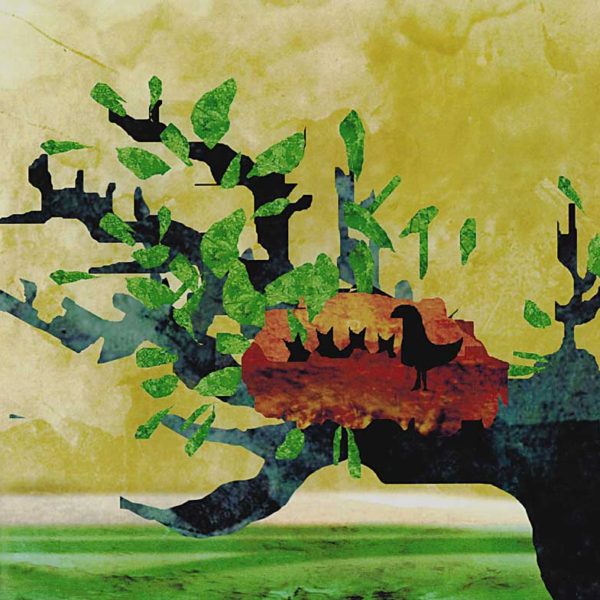 Nest on the Harry's Tree